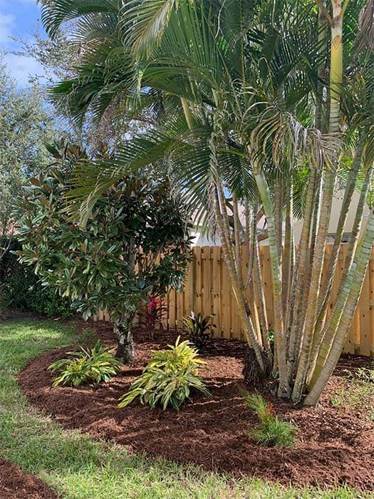 Landscaping Consultation