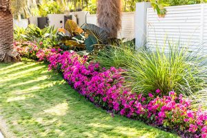 4 Simple Landscape Design Ideas for Small Yards