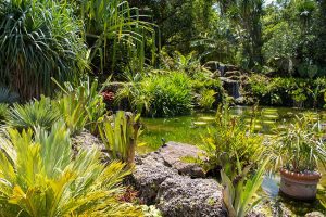 The Benefits of Adding Native Plants to Your Landscaping Plan