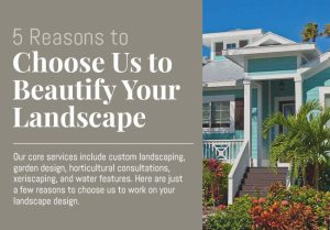 5 Reasons to Choose Us to Beautify Your Landscape