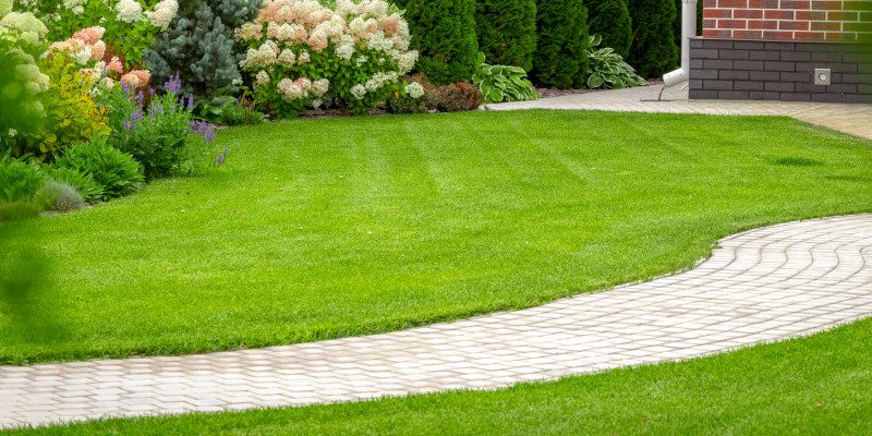 Landscape Design in Vero Beach, Florida