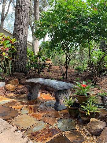 Horticultural Consultation in Vero Beach, Florida