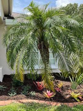 Landscape Design in Vero Beach, Florida