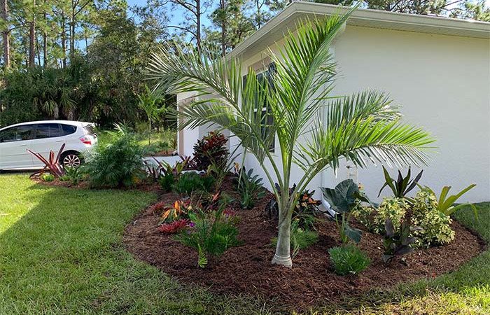 Landscape Installation in Sebastian, Florida
